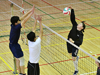 volleyball